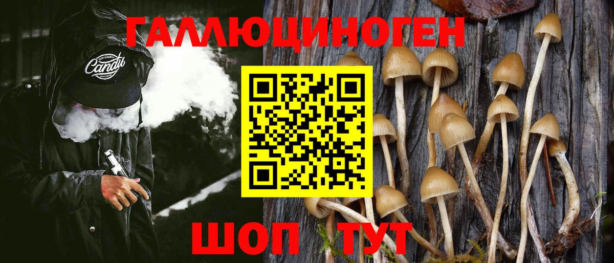 Керчь  дарнет шоп  Вход с VPN  Галлюциногенные грибы Psilocybine cubensis 